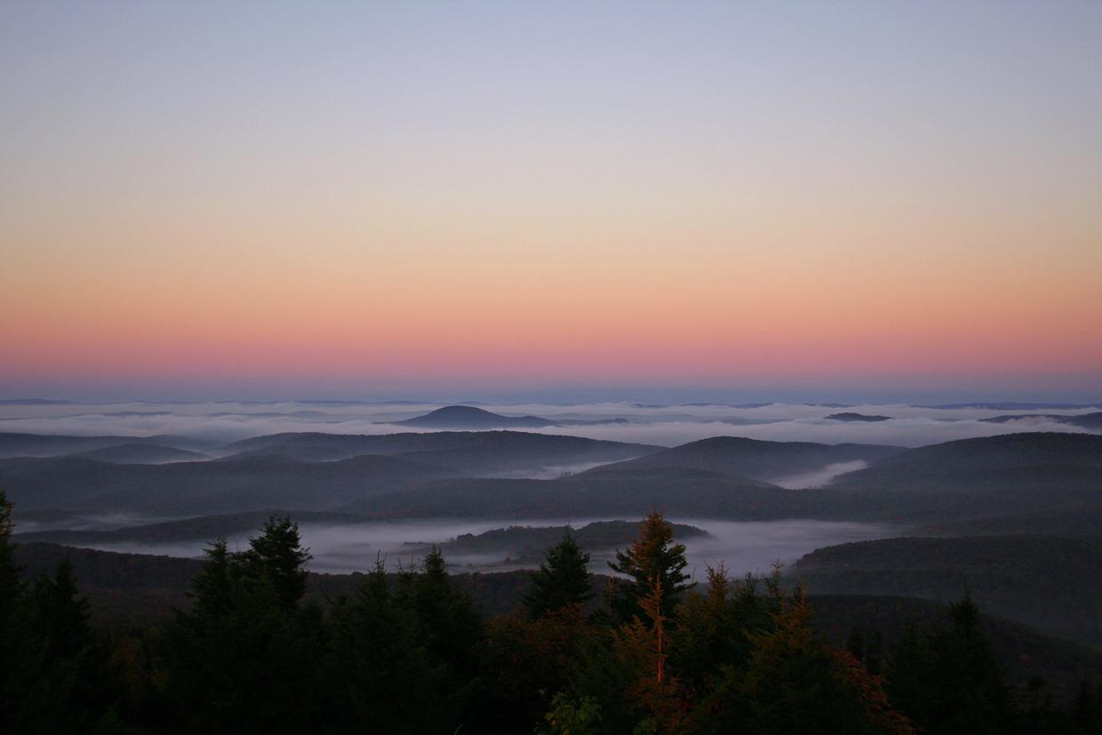 Forest in West Virginia