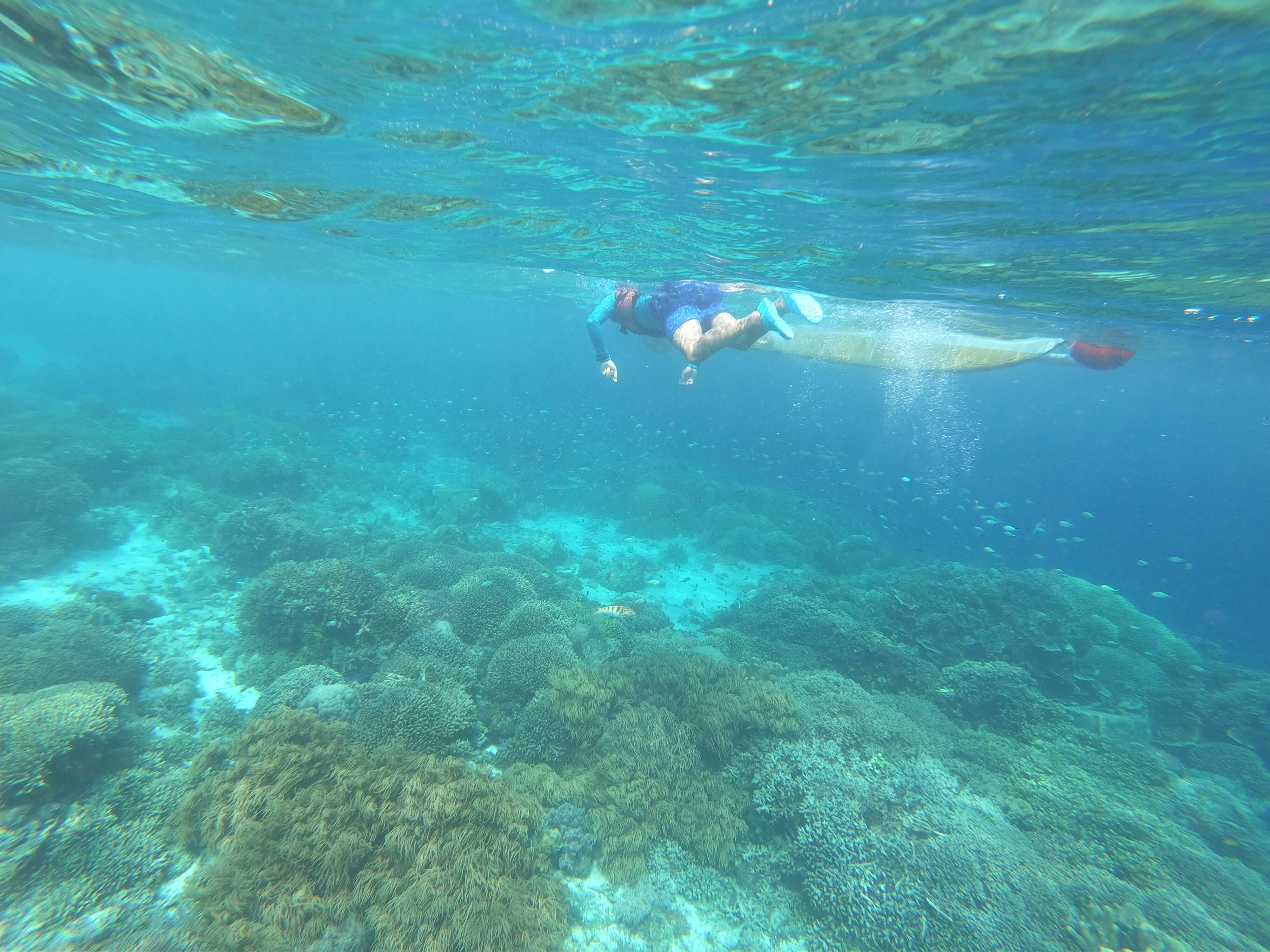 9-17-balicasag-snorkeling.jpg